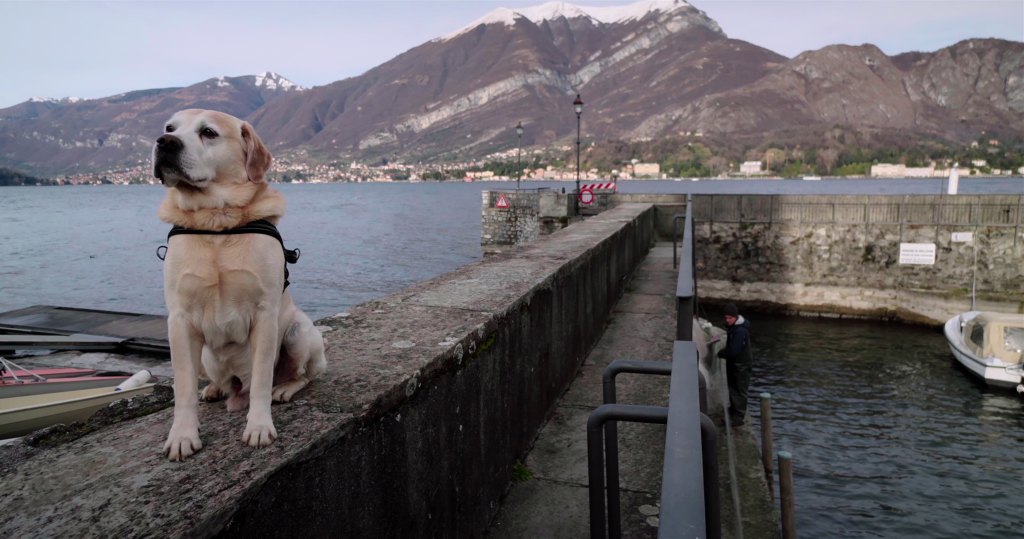 Dogs Netflix Episode 3