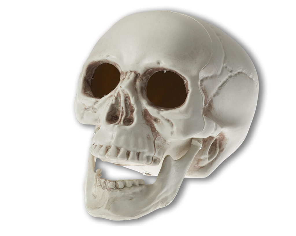 halloween decorations fake skull