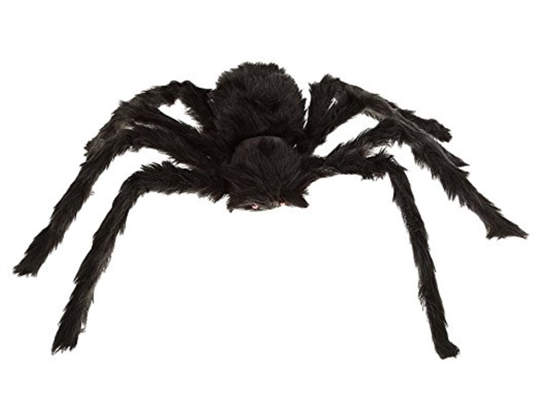tarantula