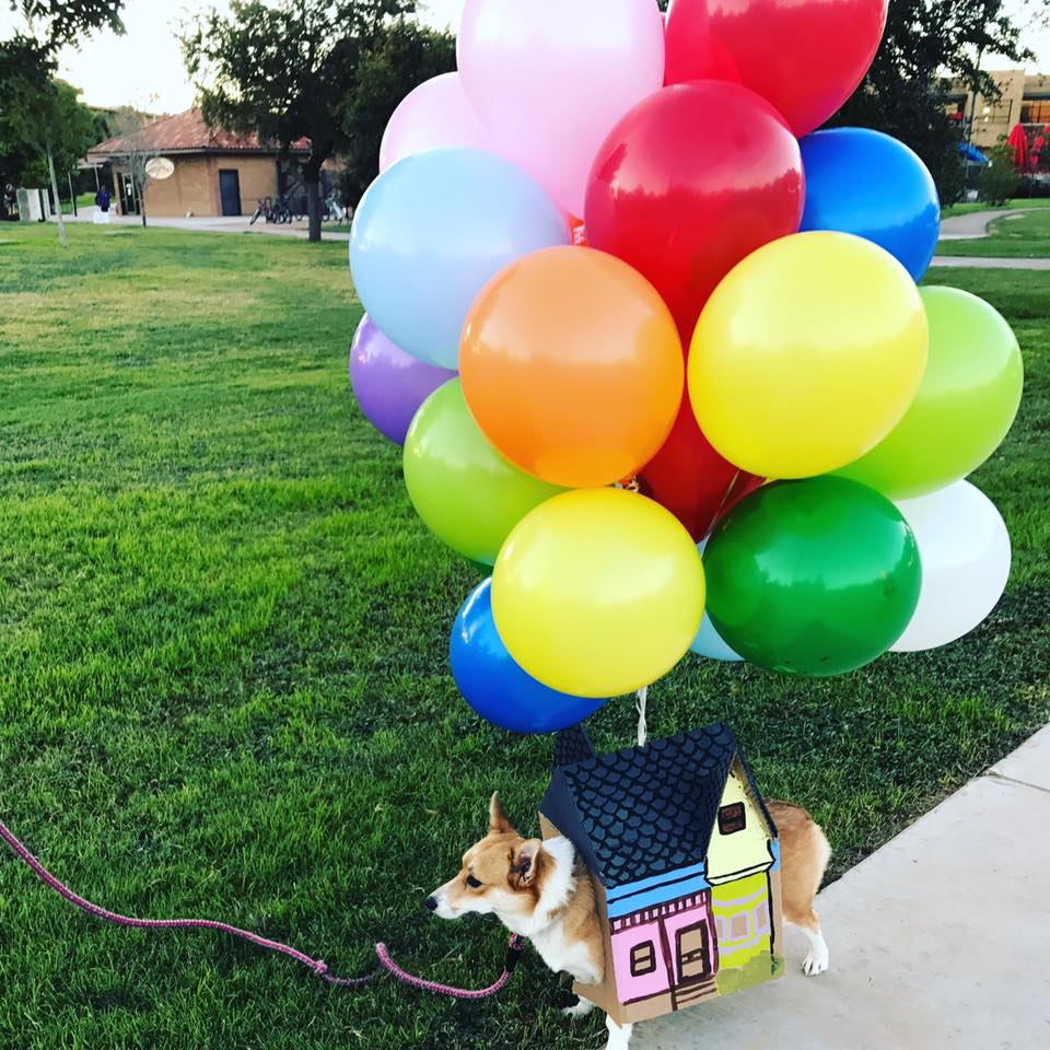 Halloween Dog Parade 4