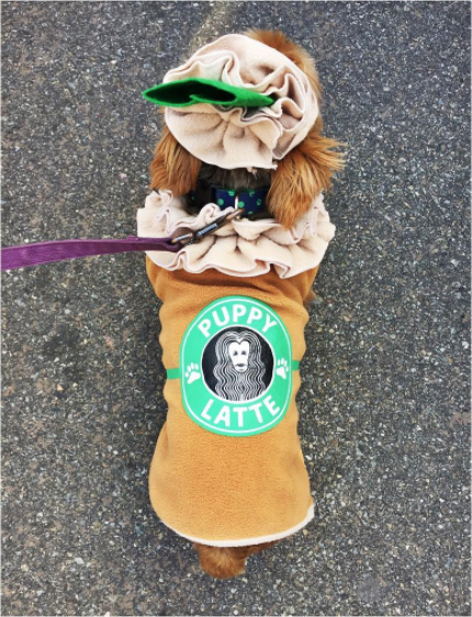 Halloween Dog Parade 9