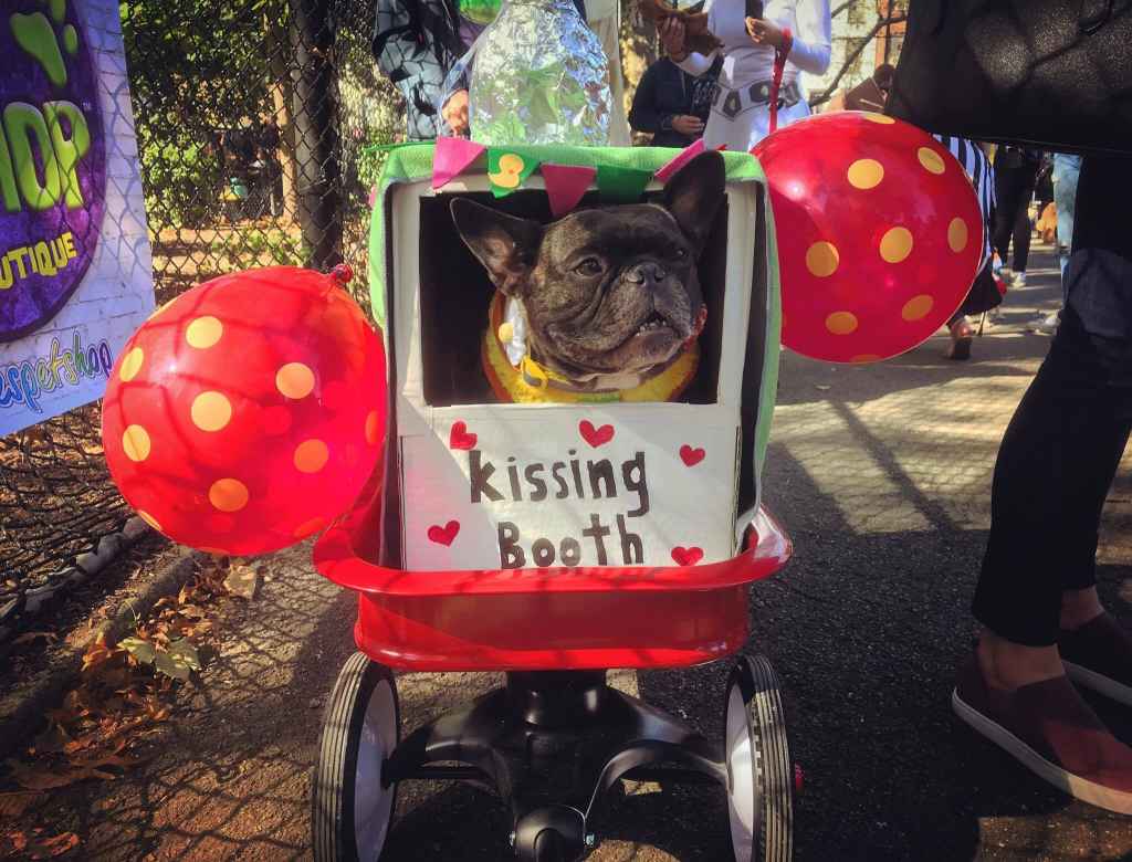 Halloween Dog Parade 7