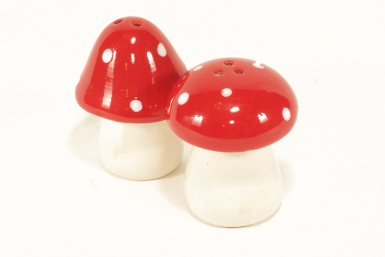 Salt And Pepper Shakers Cute Mushroom