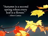 Fall Quotes And Sayings To Get You In The Spirit Of Autumn