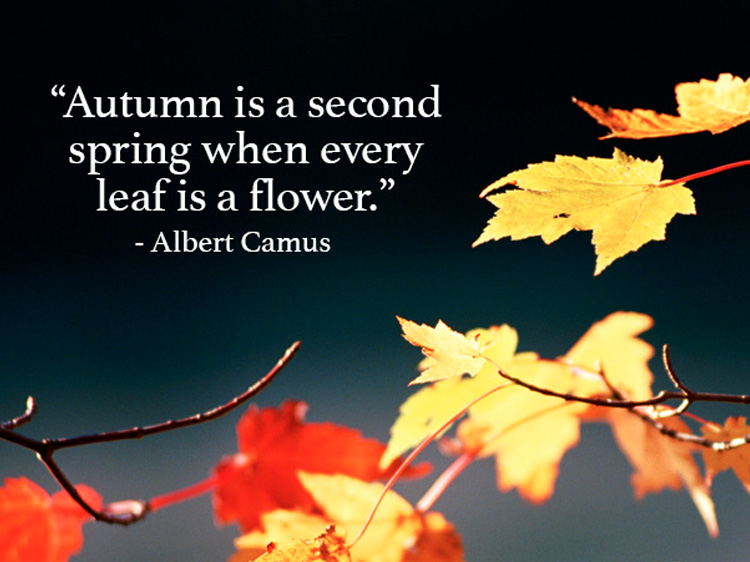 autumn-quotes-and-sayings.jpg