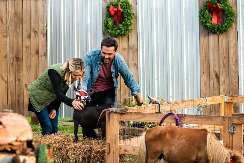 Cast of 'Hometown Christmas'