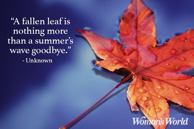 Quotes About Autumn