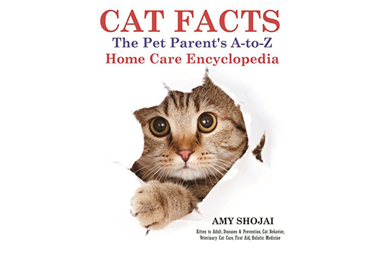Cat Book For New Cat Owner