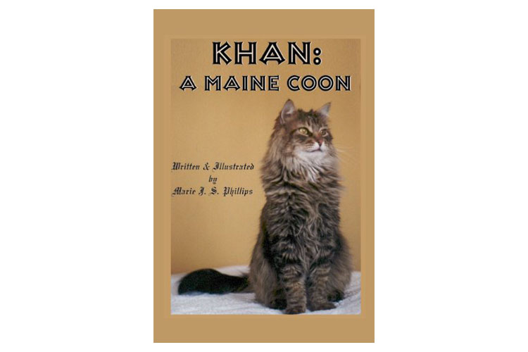 Cat Fiction Book