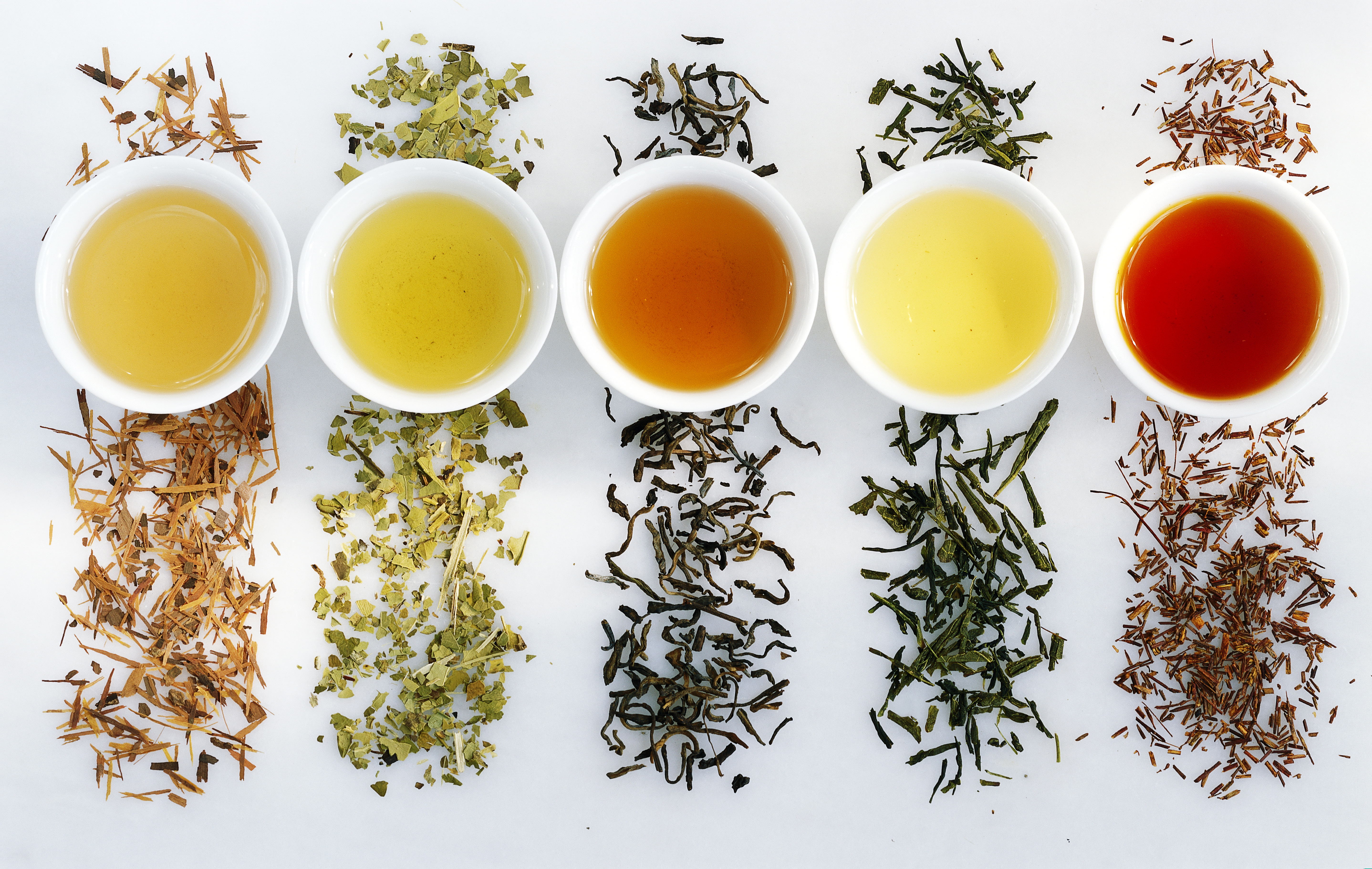 what is the best tea to drink to lose weight