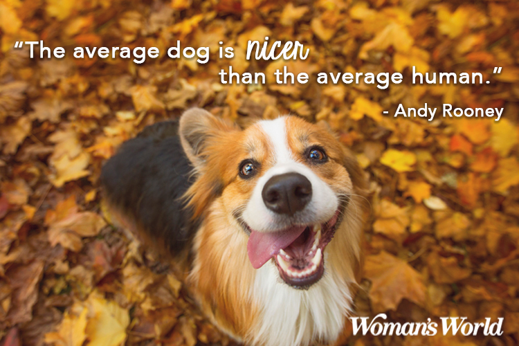 Andy Rooney Dog Quote