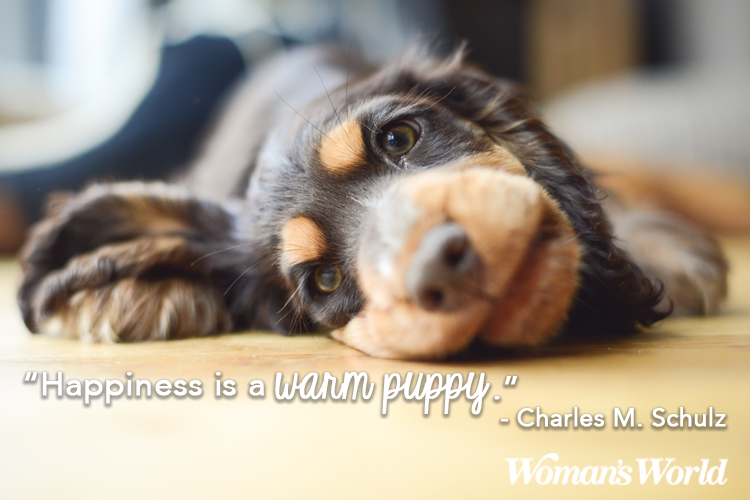 Charles Schulz Dog Quote