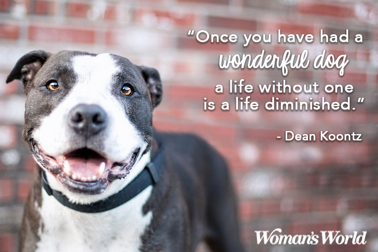 Dean Koontz Dog Quote