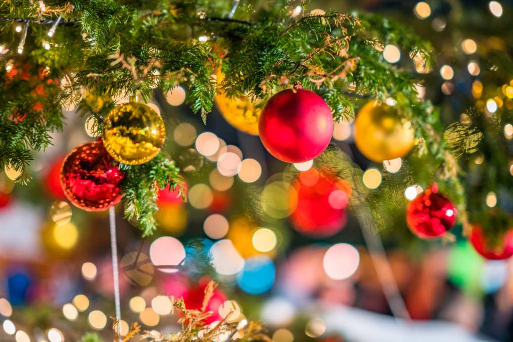 Christmas Lights and Decor