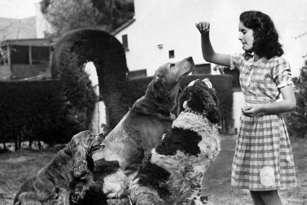 Elizabeth Taylor Dogs