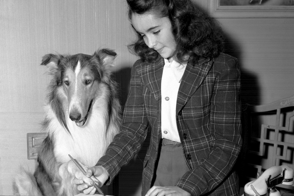 Elizabeth Taylor Lassie