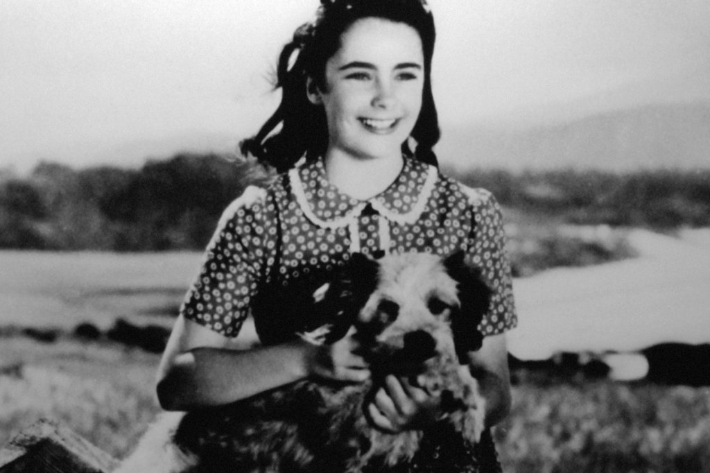 Elizabeth Taylor Puppy