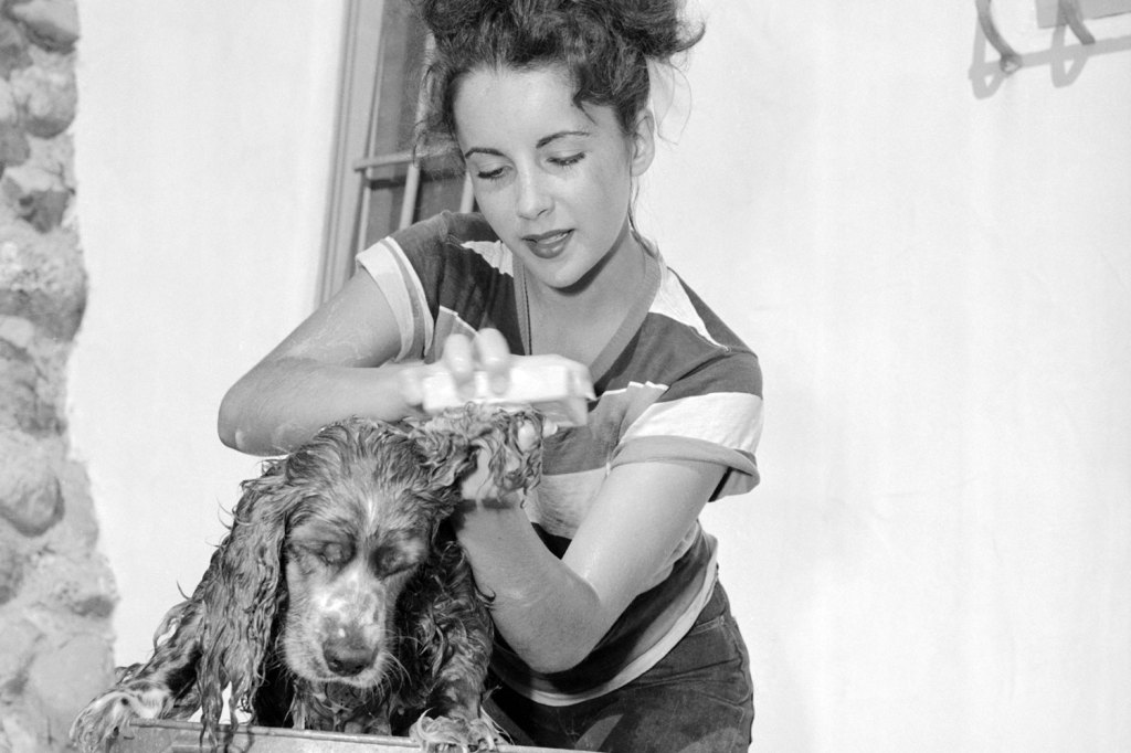 Elizabeth Taylor Teen