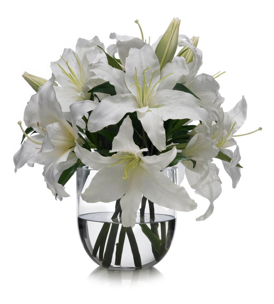 Alstroemeria in a vase
