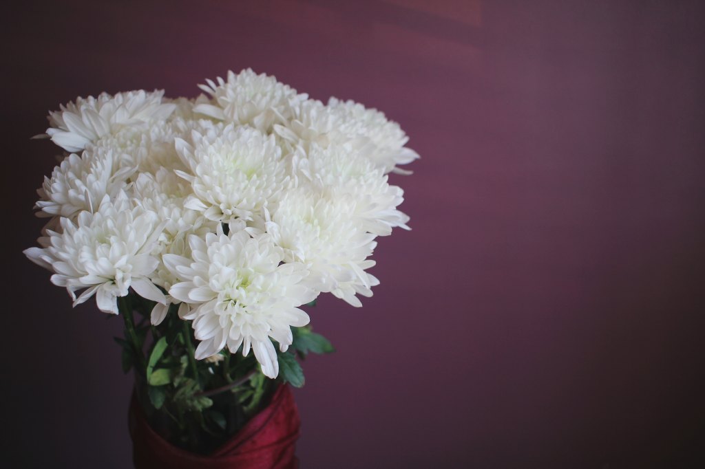 White Chrysanthemums