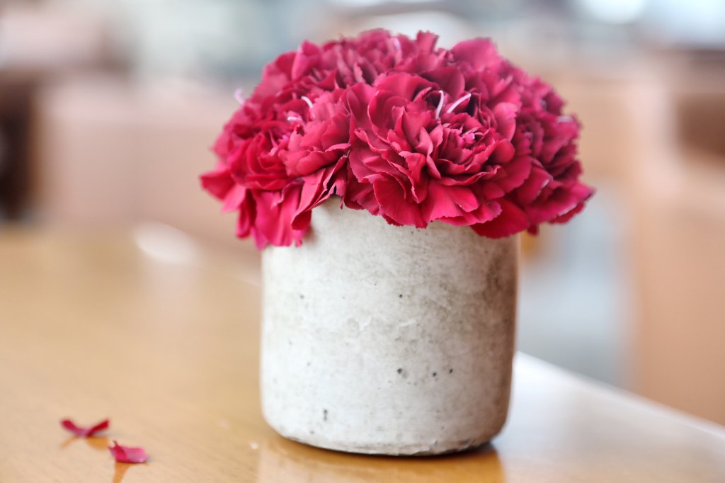 Pink Carnations