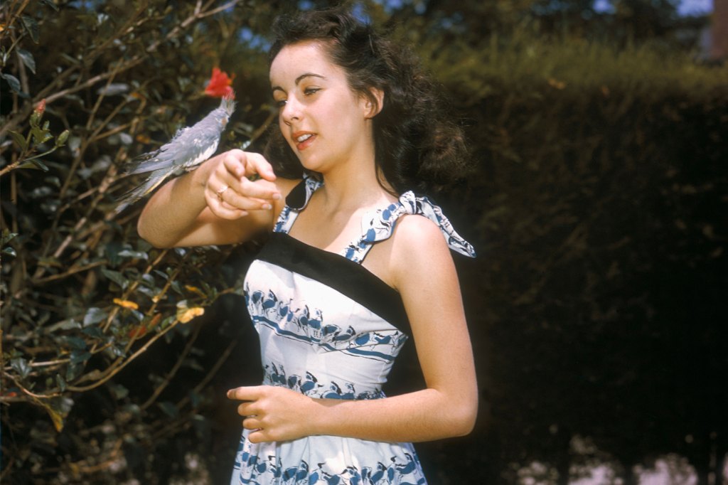 Teen Elizabeth Taylor Bird