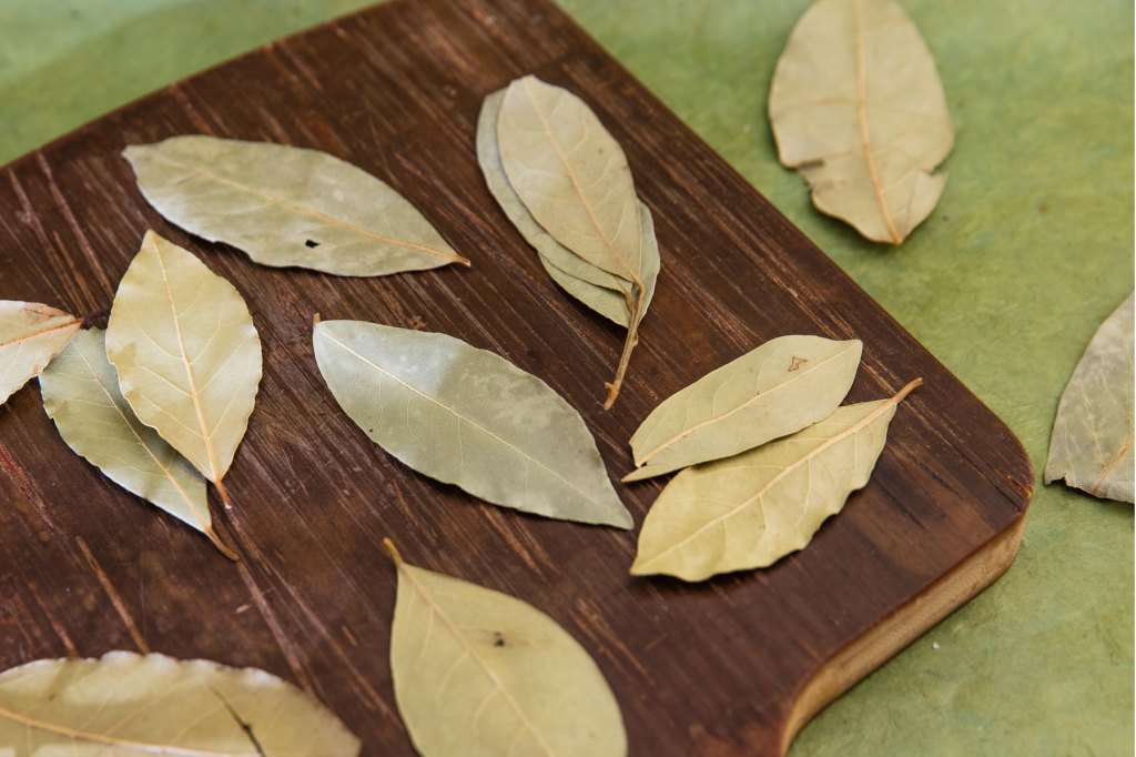 Valentines Day Traditions Bay Leaves England