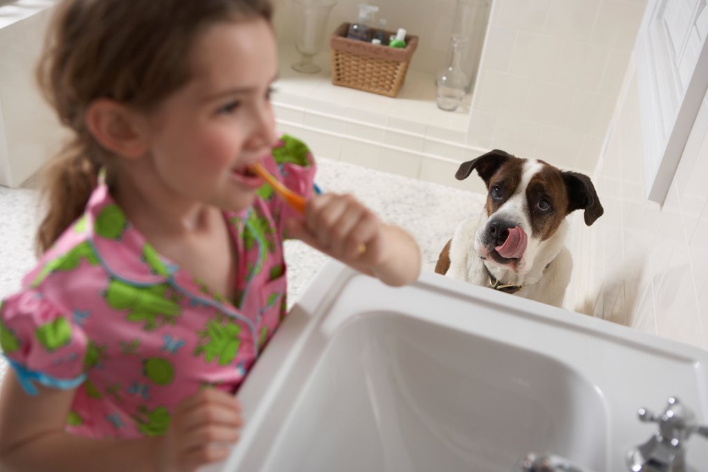 Why Does My Dog Follow Me Into The Bathroom