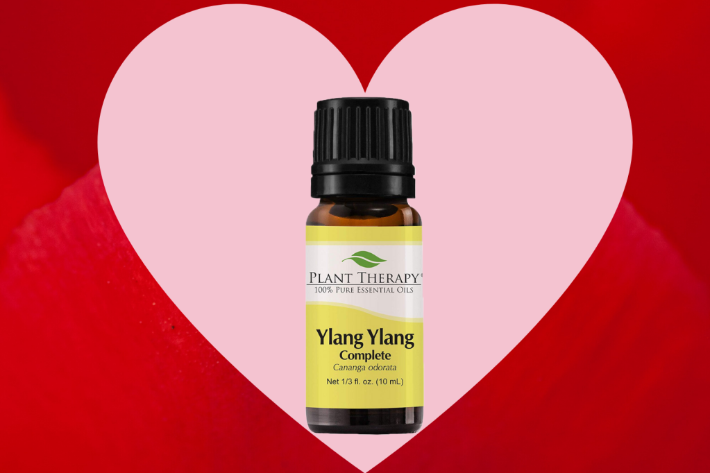 ylang-ylang-for-love