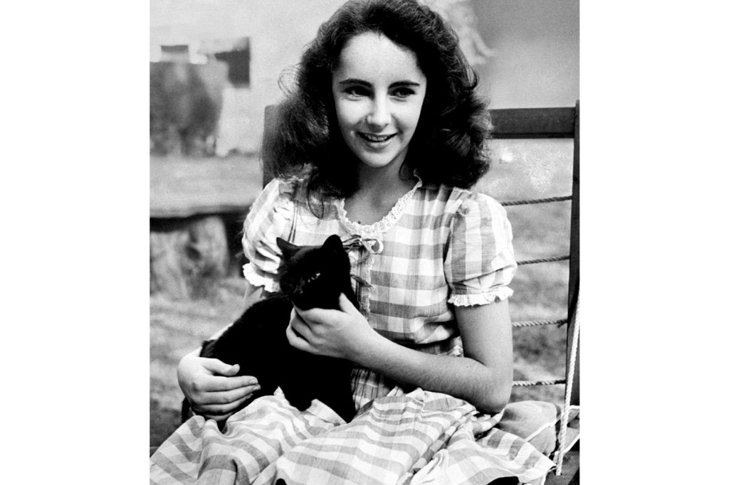 Young Elizabeth Taylor Cat