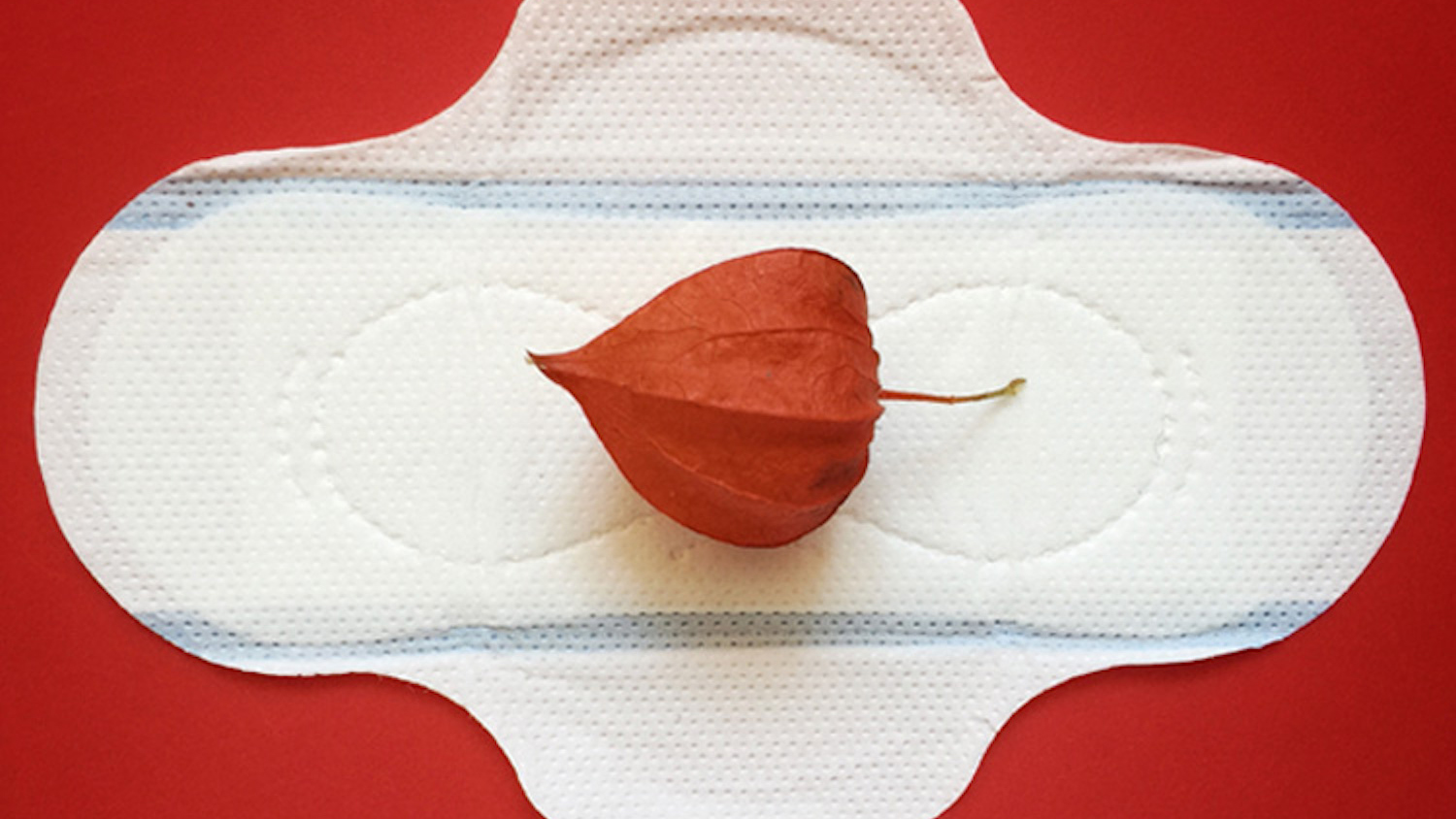 The Best Organic Panty Liners to Prevent an Infection
