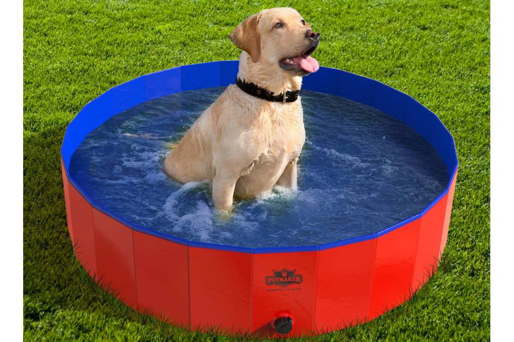 Dog Pools