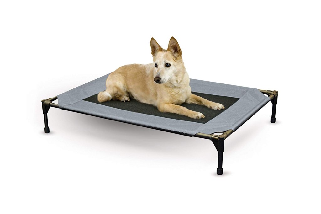 Elevated Dog Bed