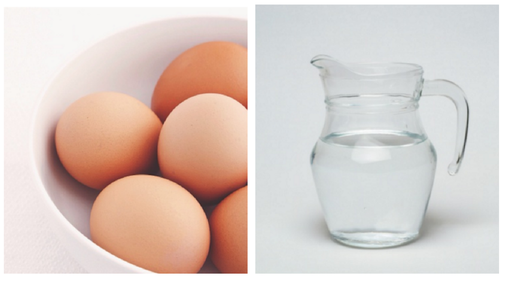 budget DIY garden tricks eggs and water