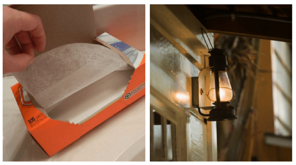 budget DIY garden tricks bug repellent