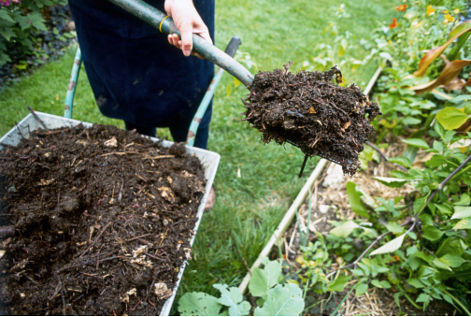 budget DIY garden find mulch