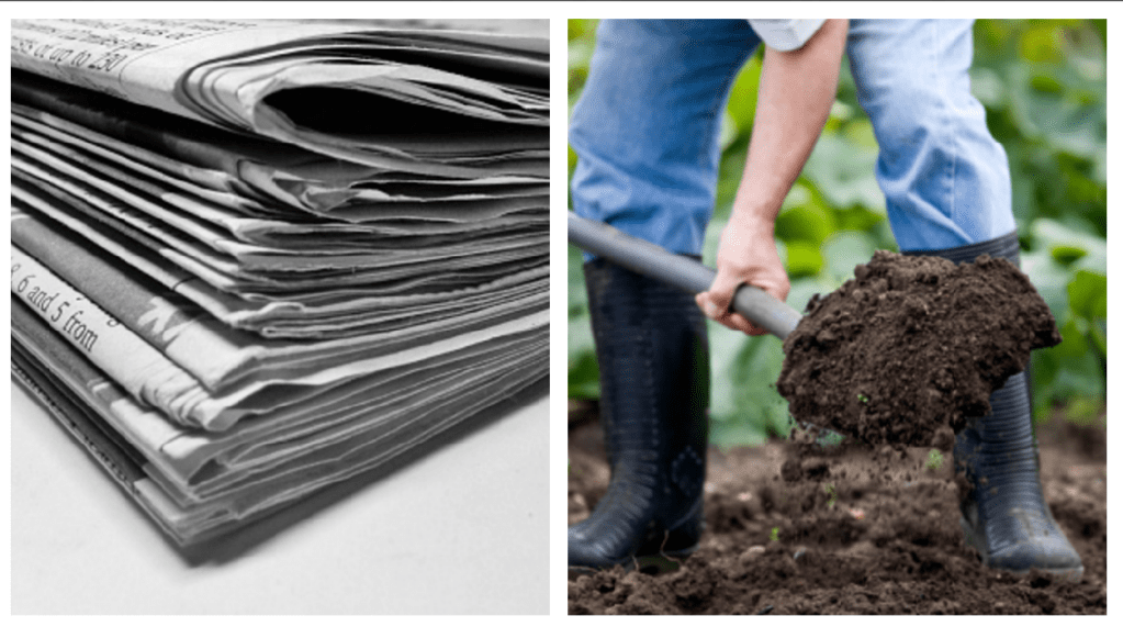 budget DIY garden tricks newspaper