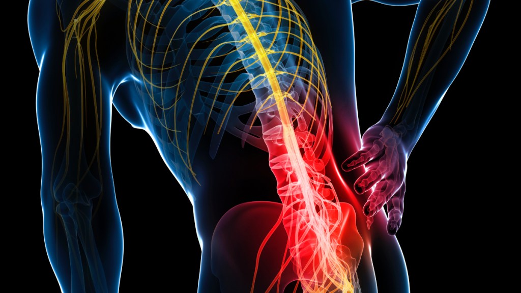 An illustration of the lumbar spine, which is the source of lower back pain