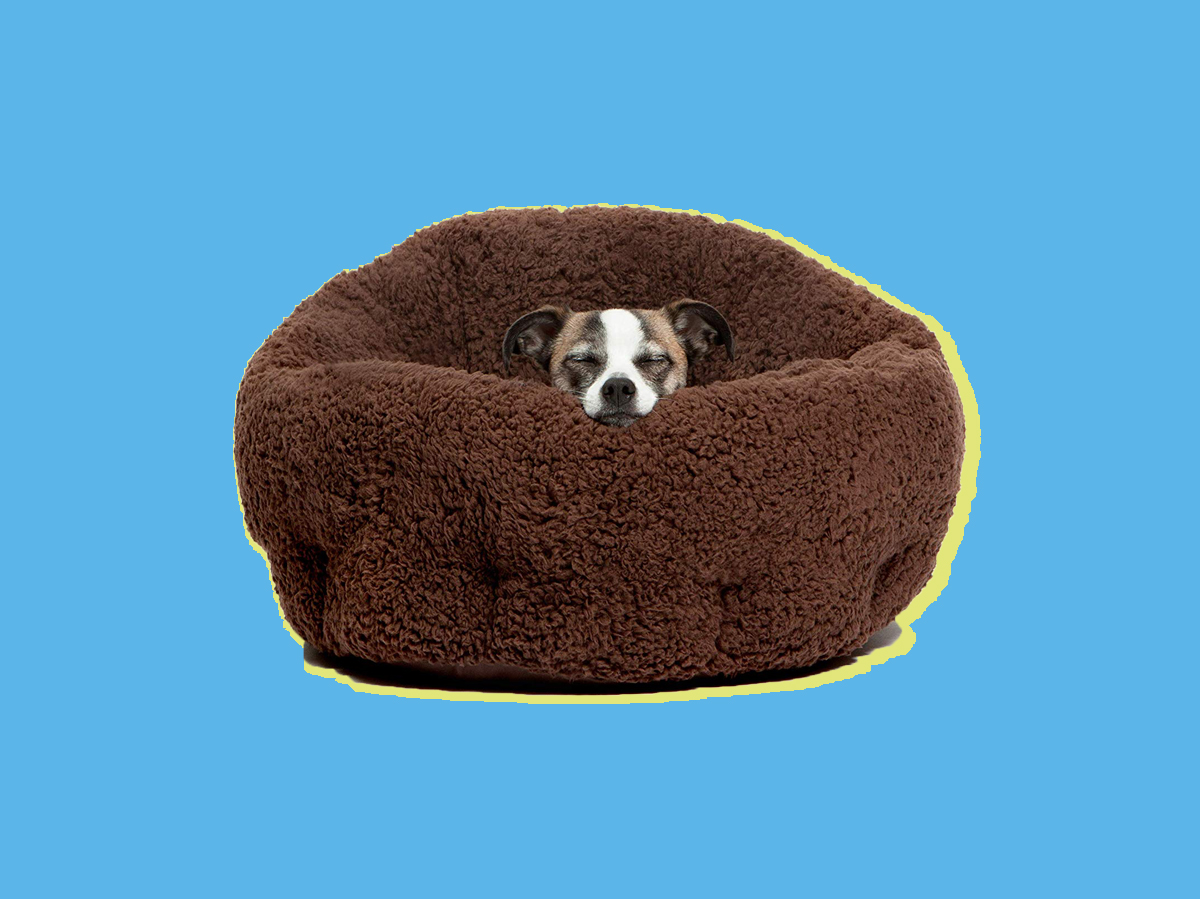 best-dog-beds-lead.jpg