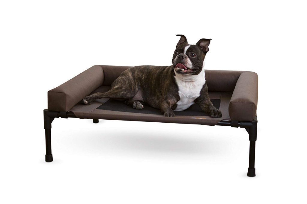 Best Elevated Dog Beds
