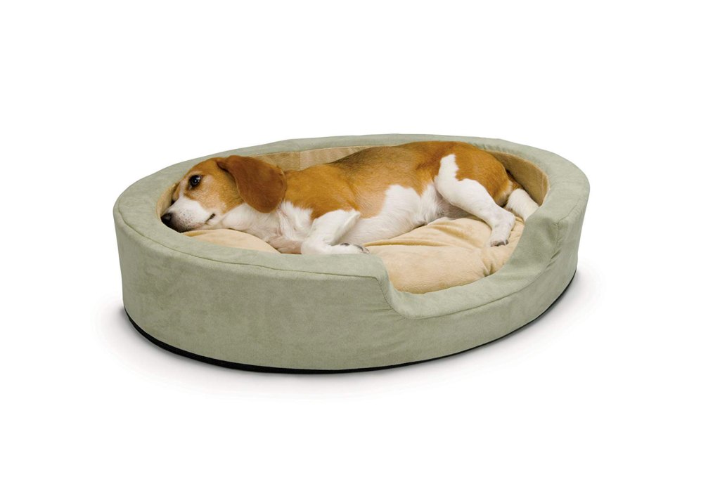 Best Heated Dog Beds