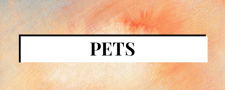 Best Pets Deals Sales