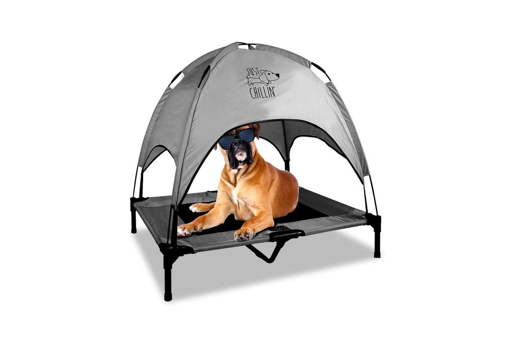 Dog Beds Covered