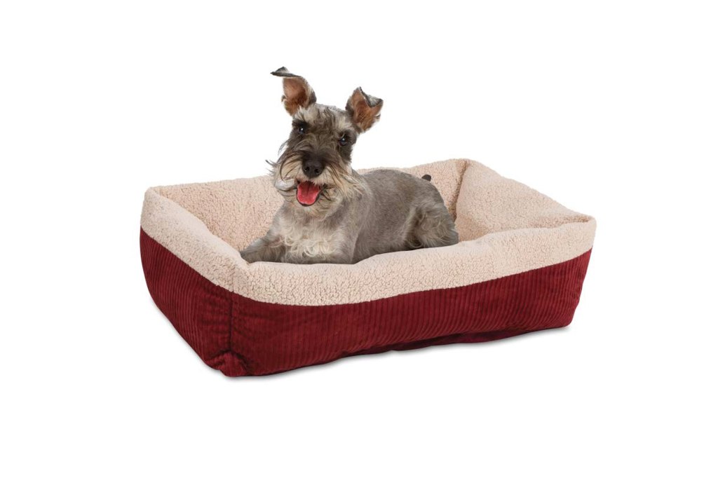 Dog Beds Heated