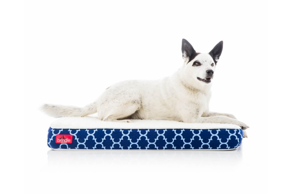 Dog Beds Memory Foam