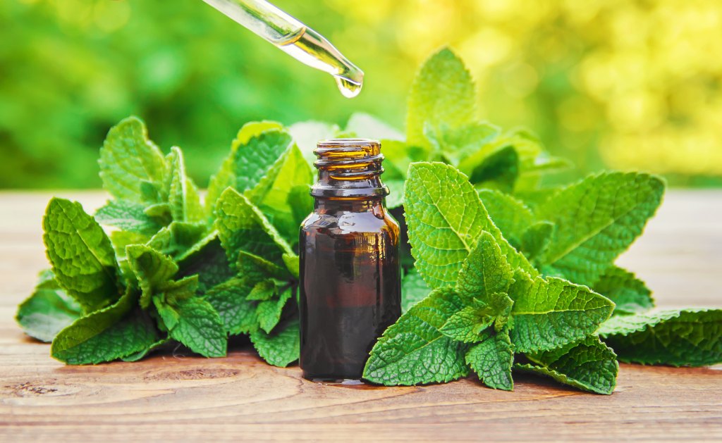 Peppermint Oil Belly Bloat