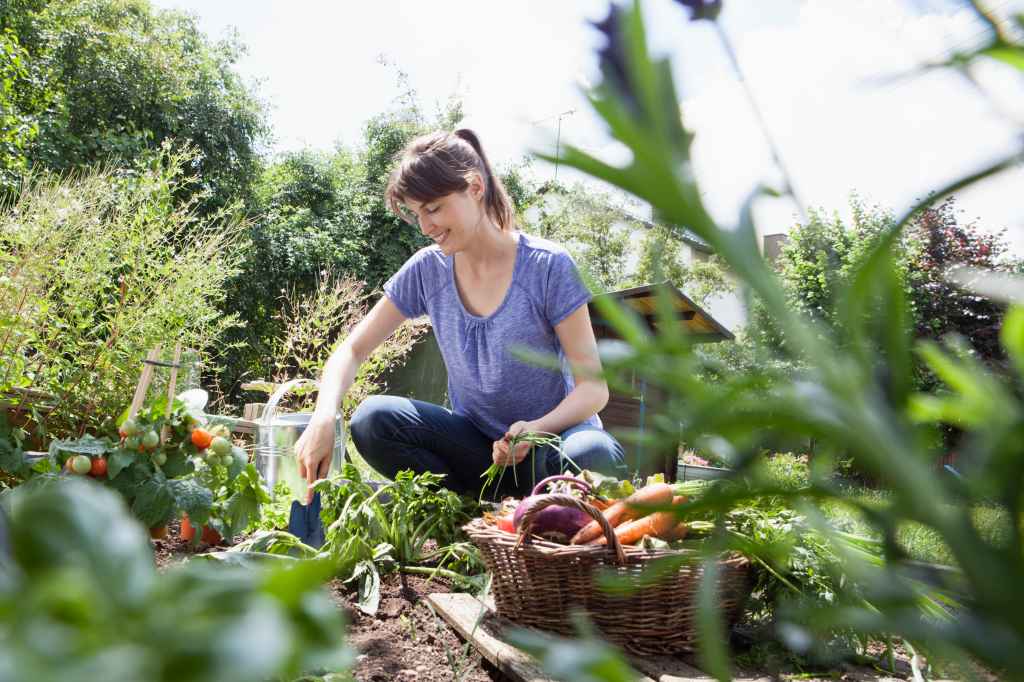 Summer Garden Exercise