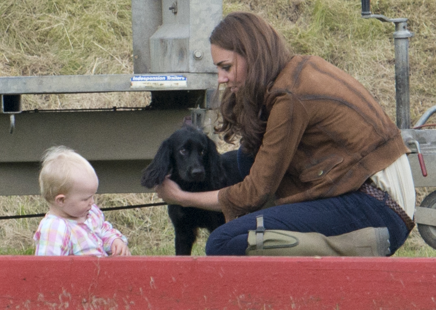 Kate Middleton Dog