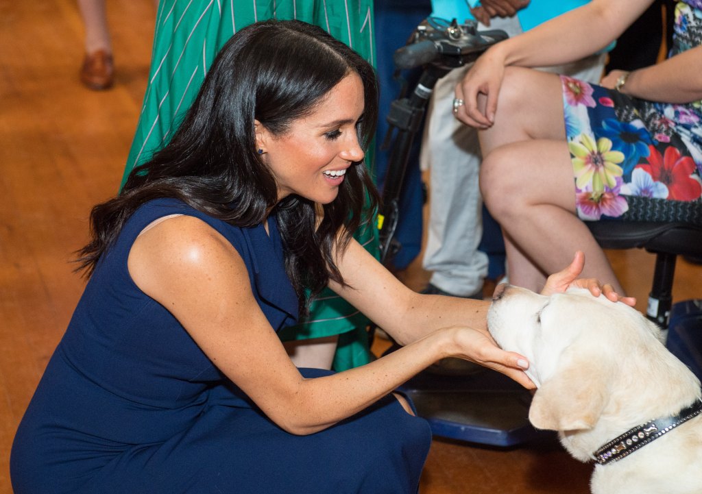 Meghan Markle Meeting Dog