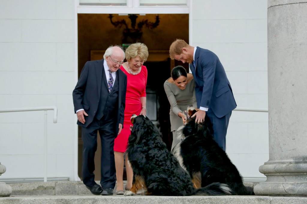 Meghan Markle Prince Harry Dog